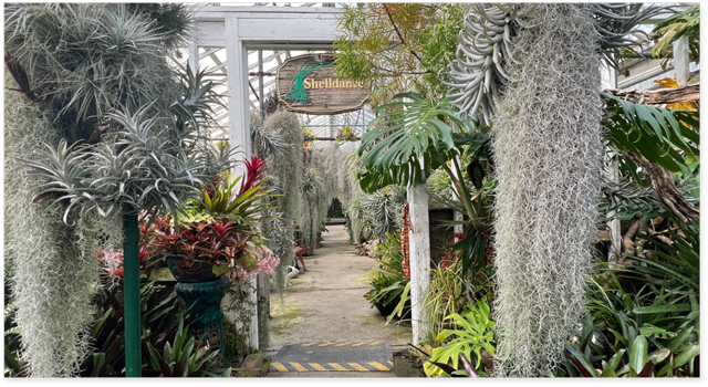 Shelldance Orchid Garden Tour and Hanging Gardens Greenhouse